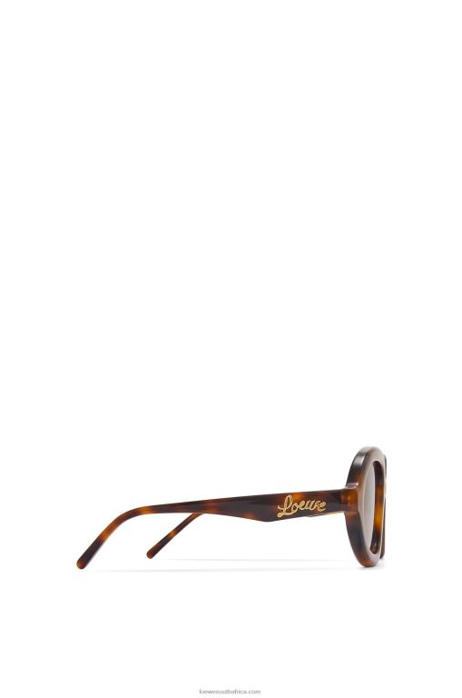 Loewe Women Aviator sunglasses in acetate 206XF1487 Havana