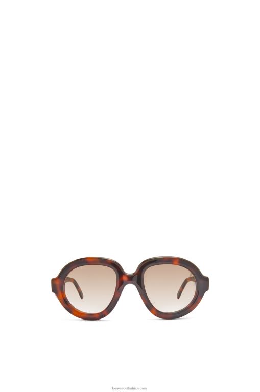 Loewe Women Aviator sunglasses in acetate 206XF1489 Havana