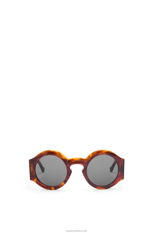 Loewe Women Curved sunglasses in acetate 206XF1441 Flamed Havana