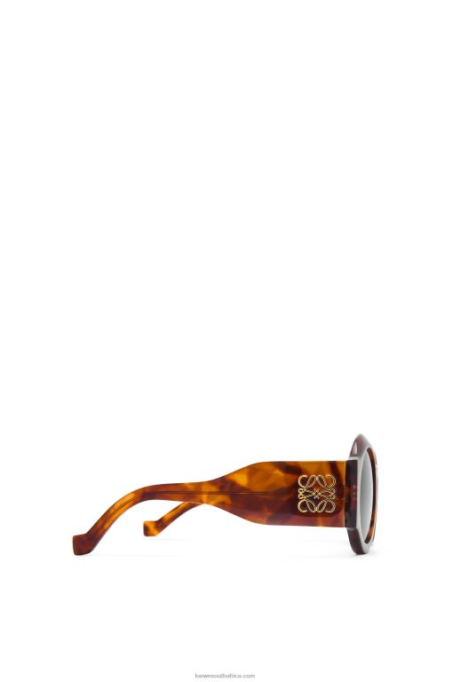 Loewe Women Curved sunglasses in acetate 206XF1441 Flamed Havana