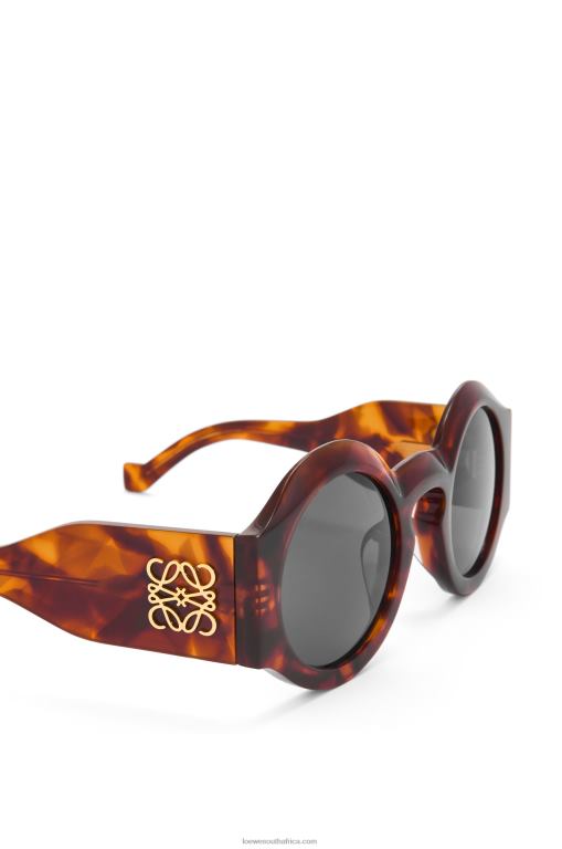Loewe Women Curved sunglasses in acetate 206XF1441 Flamed Havana