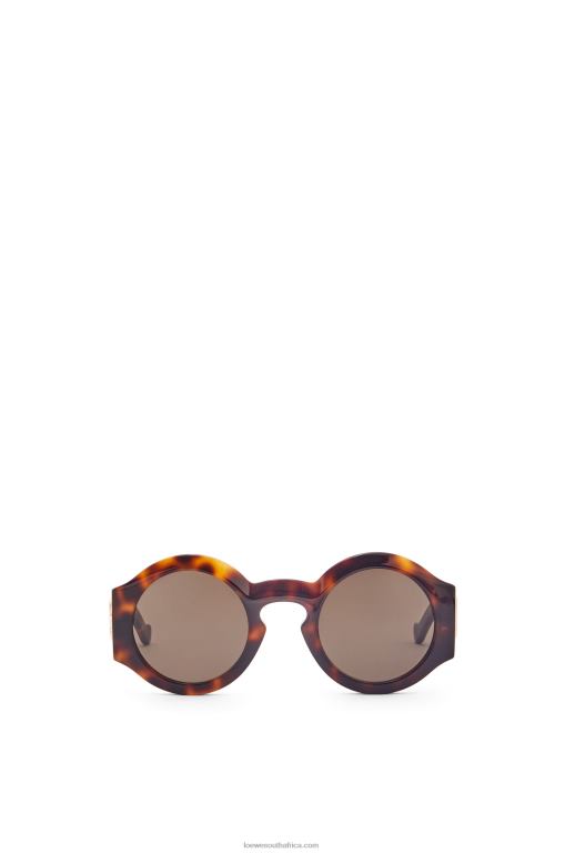 Loewe Women Curved sunglasses in acetate 206XF1444 Shiny Classic Havana
