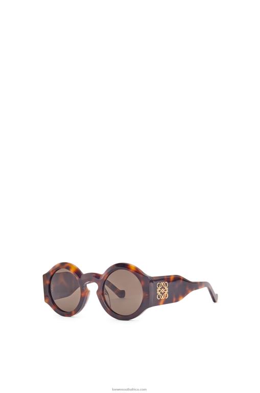 Loewe Women Curved sunglasses in acetate 206XF1444 Shiny Classic Havana