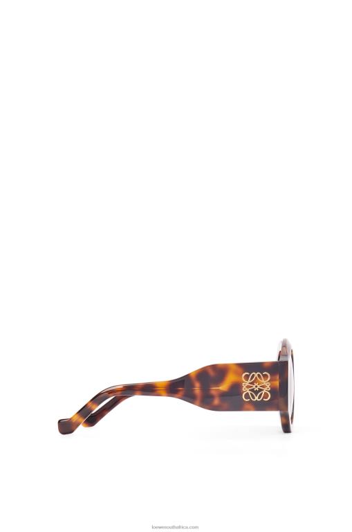 Loewe Women Curved sunglasses in acetate 206XF1444 Shiny Classic Havana