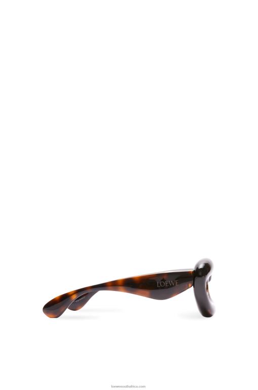 Loewe Women Inflated cateye sunglasses in nylon 206XF1422 Havana