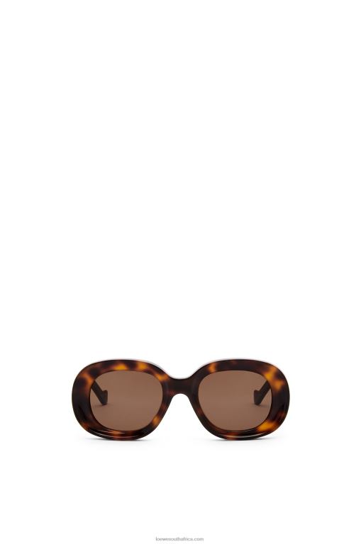 Loewe Women Oval sunglasses in acetate 206XF1493 Havana