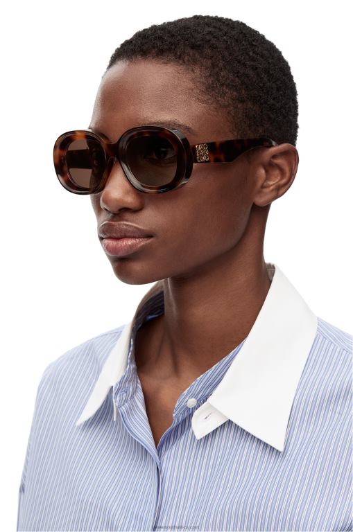 Loewe Women Oval sunglasses in acetate 206XF1493 Havana