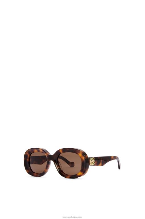 Loewe Women Oval sunglasses in acetate 206XF1493 Havana