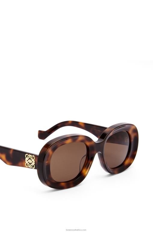 Loewe Women Oval sunglasses in acetate 206XF1493 Havana