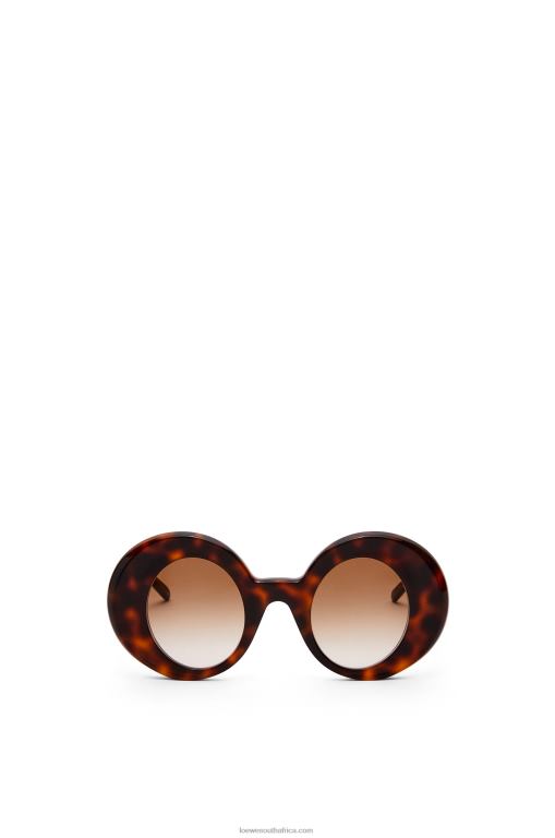 Loewe Women Oversized round sunglasses in acetate 206XF1492 Havana