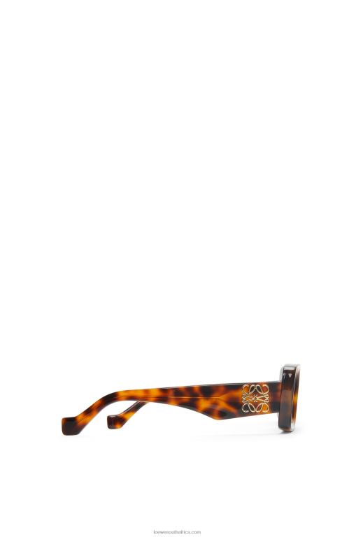 Loewe Women Rectangular sunglasses in acetate 206XF1425 Havana
