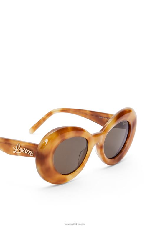 Loewe Women Wing sunglasses in acetate 206XF1433 Light Havana