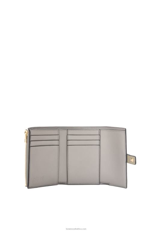 Loewe Women Small vertical wallet in soft grained calfskin 206XF1210 Sage Green/Dark Khaki Green