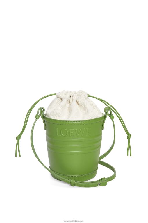 Loewe Women Jardinier pocket in calfskin 206XF228 Spring Green