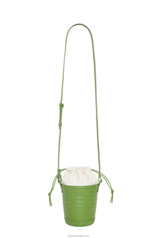 Loewe Women Jardinier pocket in calfskin 206XF228 Spring Green