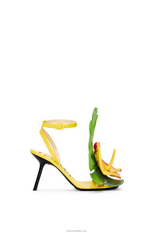 Loewe Women Petal sandal in lambskin 206XF689 Acacia Yellow
