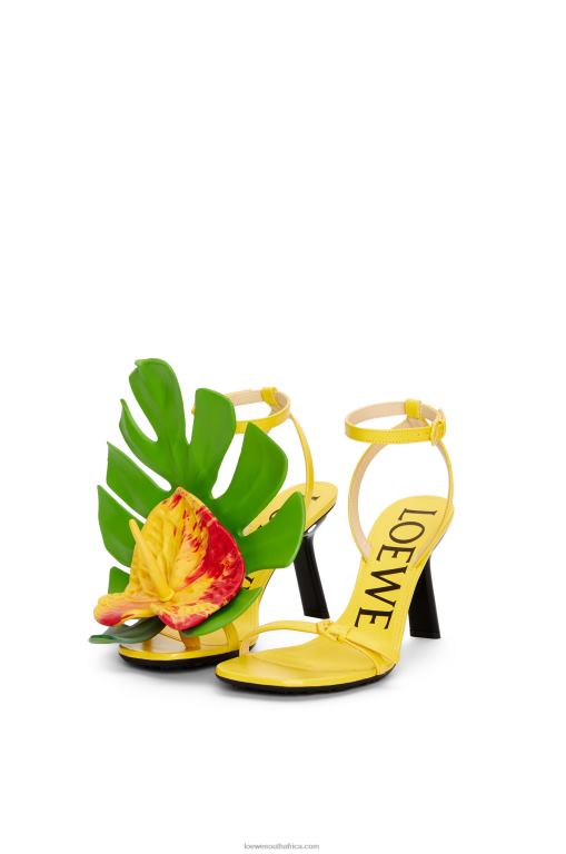 Loewe Women Petal sandal in lambskin 206XF689 Acacia Yellow