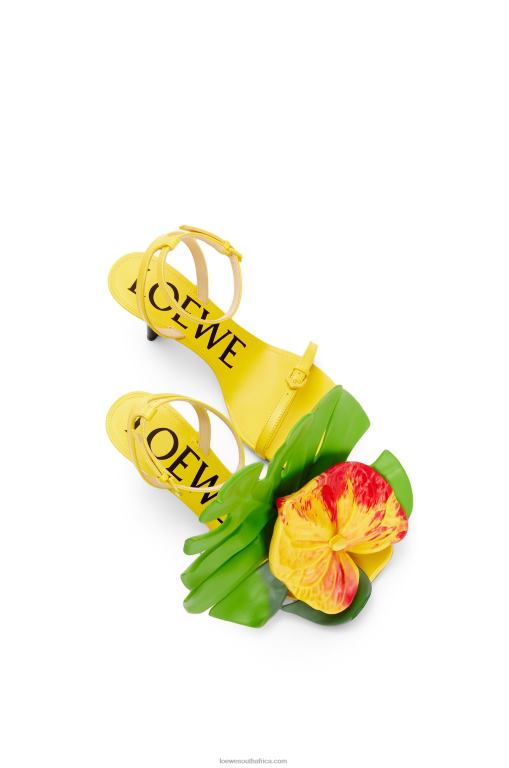 Loewe Women Petal sandal in lambskin 206XF689 Acacia Yellow