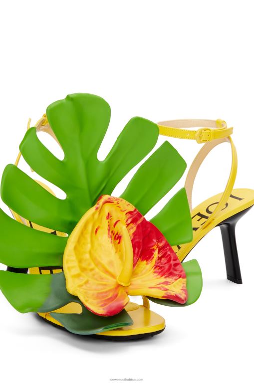 Loewe Women Petal sandal in lambskin 206XF689 Acacia Yellow