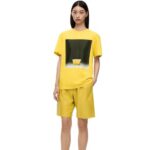 Loewe Men Ceramic print T-shirt in cotton 206XF822 Yellow