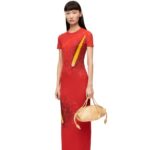 Loewe Women Anthurium dress in semi sheer mesh 206XF1068 Red