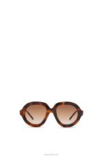 Loewe Women Aviator sunglasses in acetate 206XF1487 Havana
