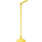 Loewe Women Balloon pouch in classic calfskin 206XF629 Yellow