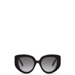 Loewe Women Butterfly sunglasses in acetate 206XF1484 Black
