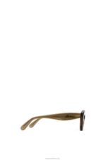 Loewe Women Cateye sunglasses in acetate 206XF1498 Brown Green - Image 4