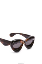 Loewe Women Inflated cateye sunglasses in nylon 206XF1422 Havana - Image 5