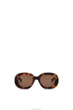 Loewe Women Oval sunglasses in acetate 206XF1493 Havana