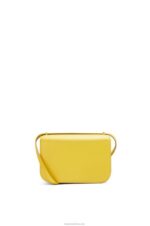 Loewe Women Small Goya bag in silk calfskin 206XF304 Yellow - Image 4
