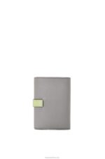 Loewe Women Small vertical wallet in soft grained calfskin 206XF1252 Pearl Grey/Light Pale Green - Image 4