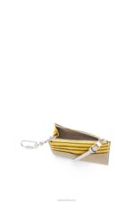 Loewe Women Square cardholder in soft grained calfskin with chain 206XF1383 Yellow/Clay Green - Image 4