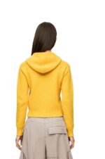 Loewe Women Zip up hoodie in knit wool 206XF804 Pale Yellow - Image 3